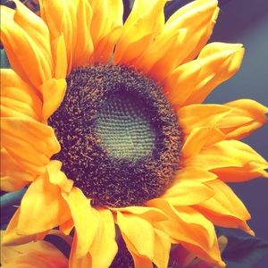 Meet your Posher, Miriam